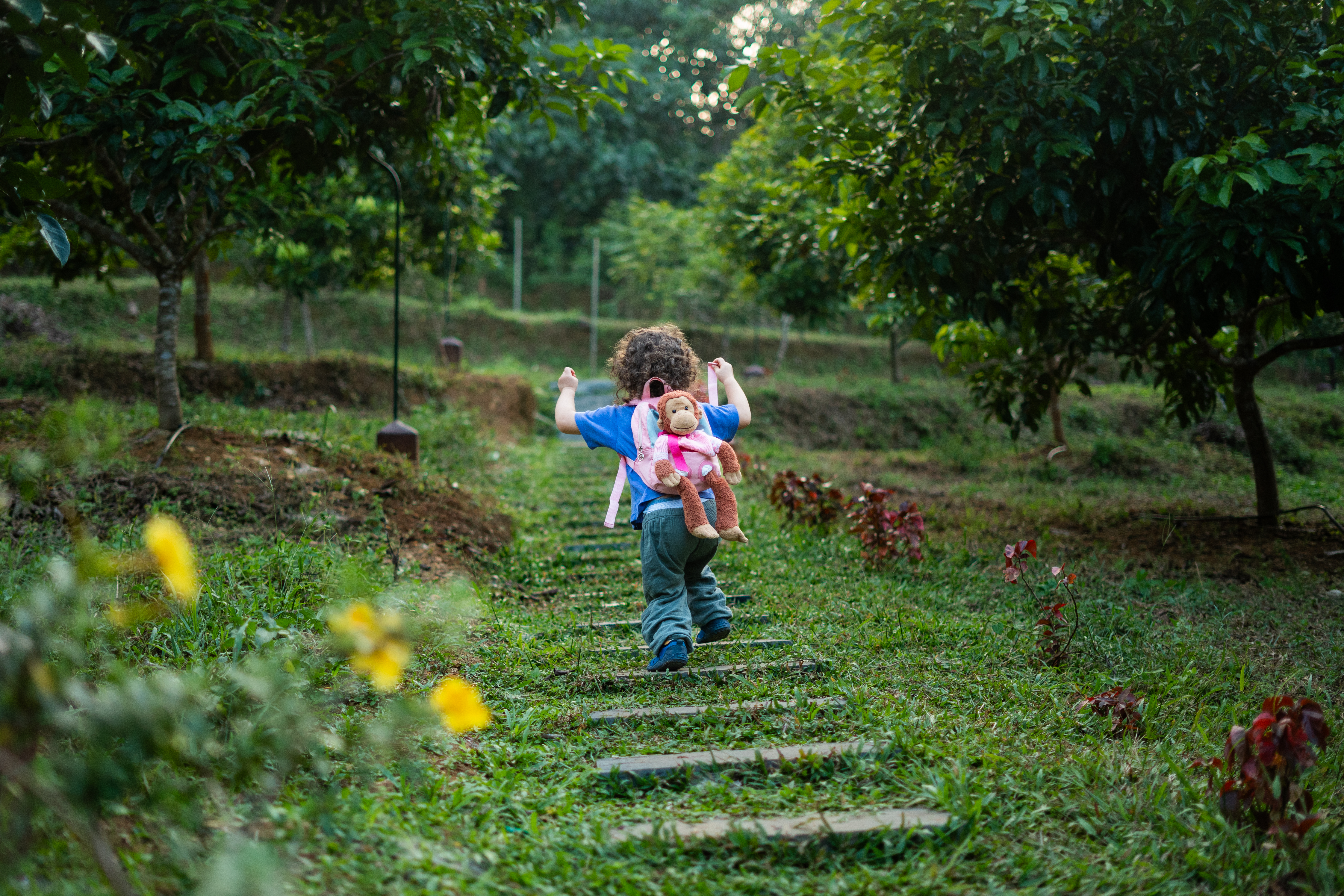 A Day in the Life at Into the Roots: What to Expect During Your Stay